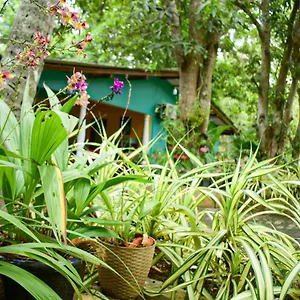 Palitha Sigirîya