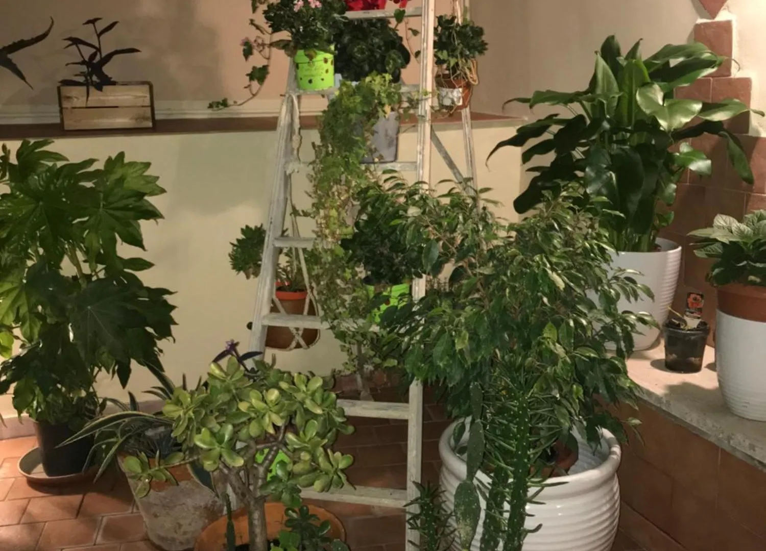 Ilbricco Apartment Naples Italy